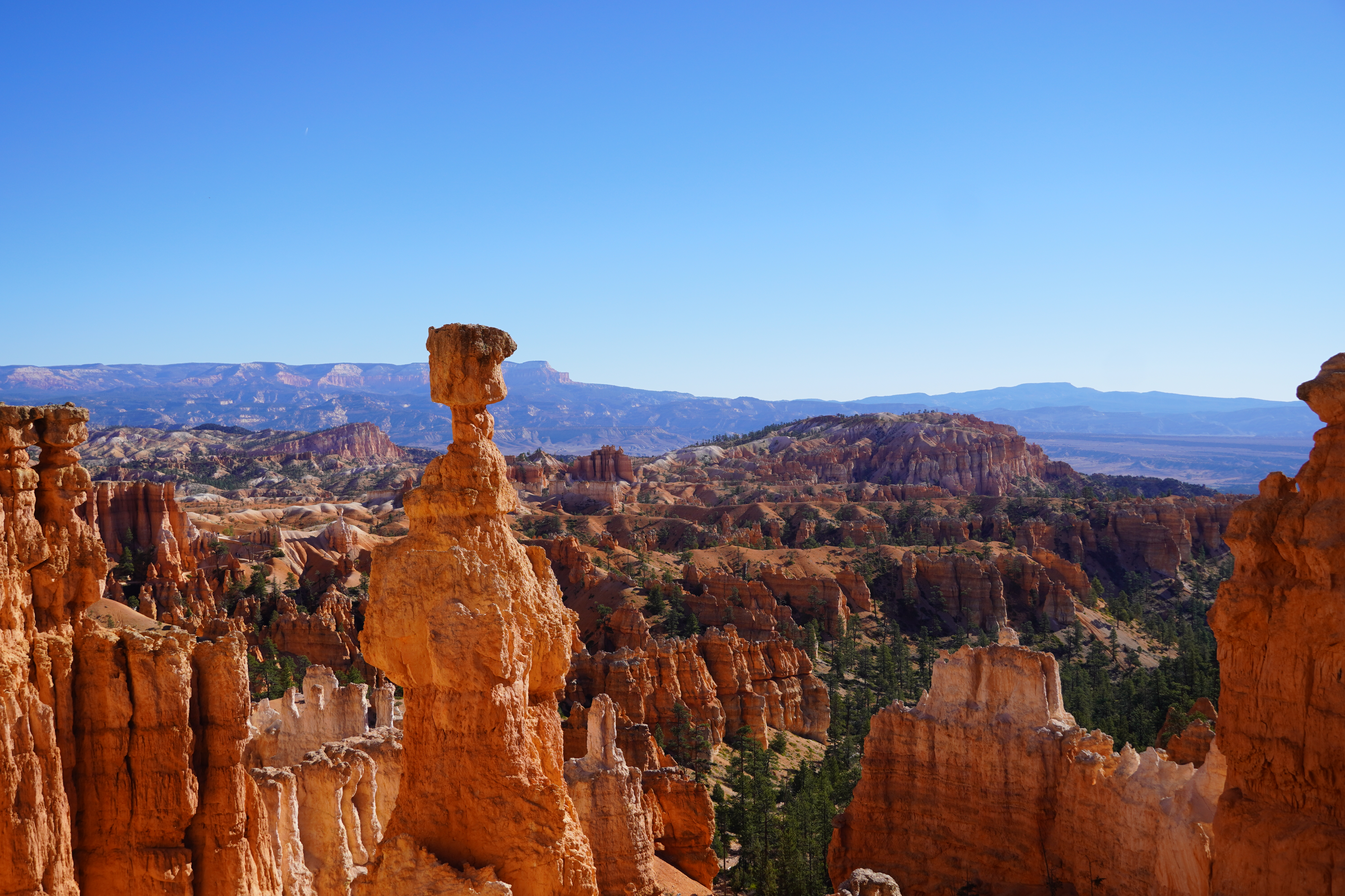 Thors Hammer: Bryce Canyon