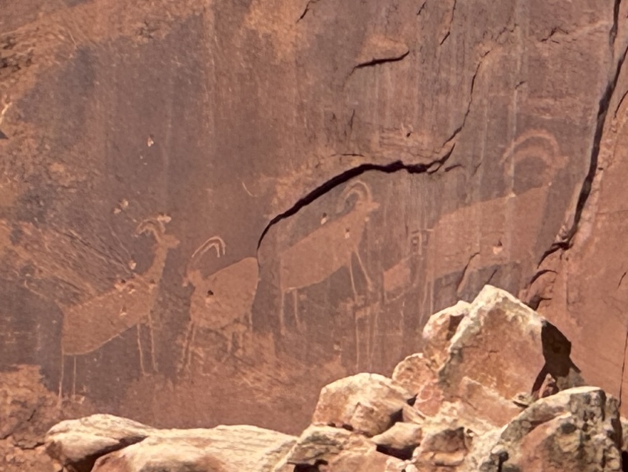 Native Drawings