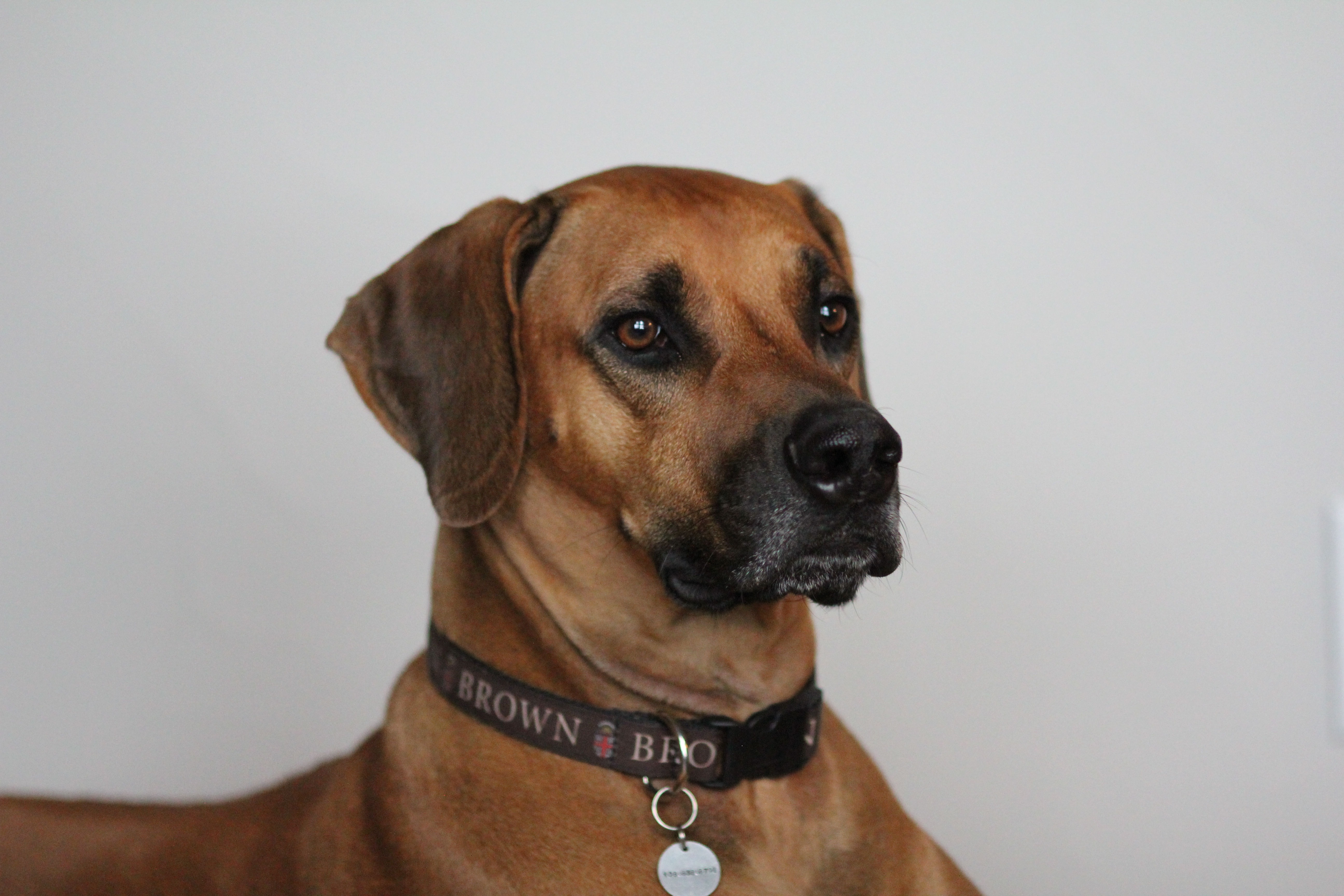 Gus Profile