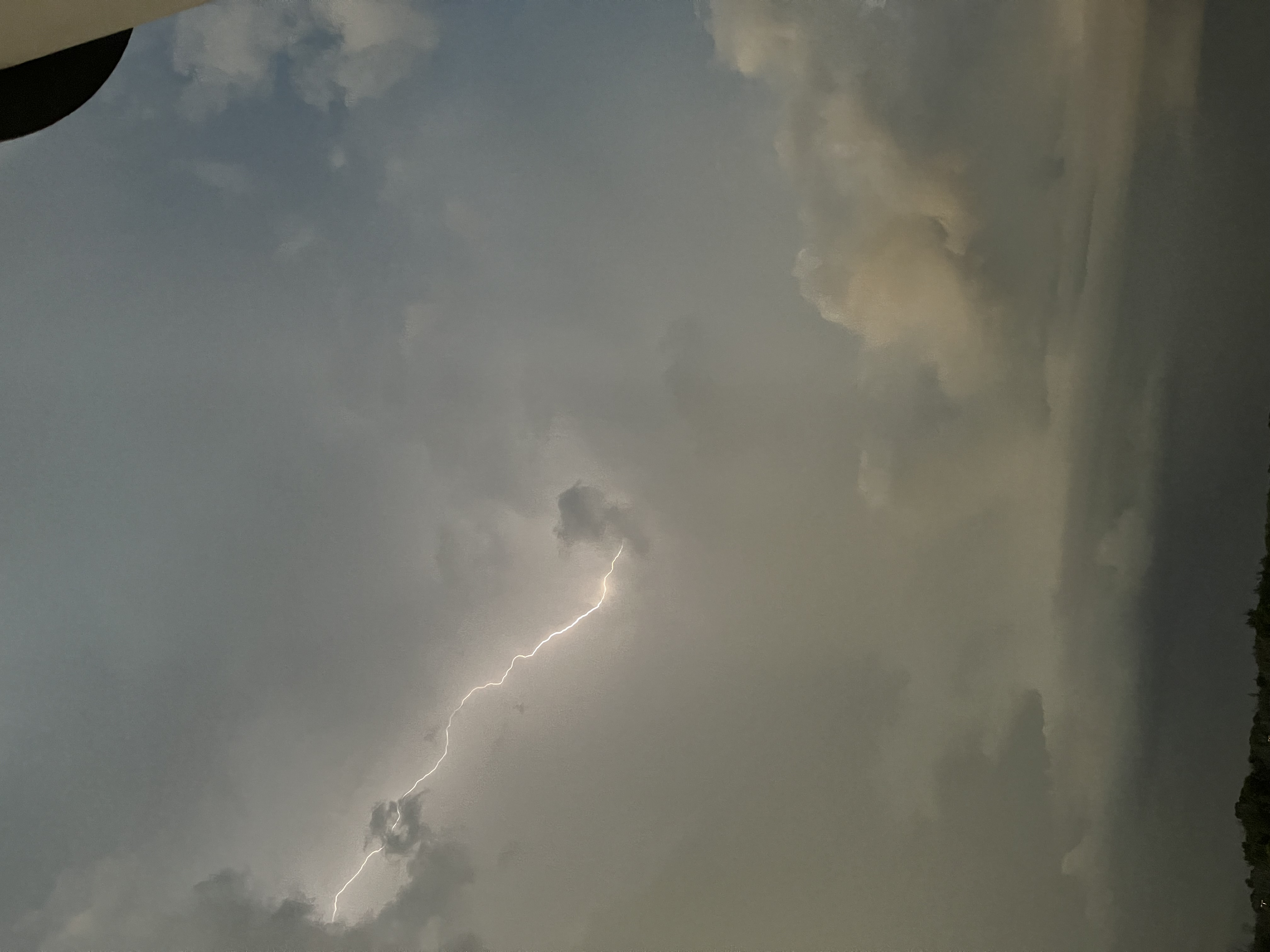 Socha Lab Image 8