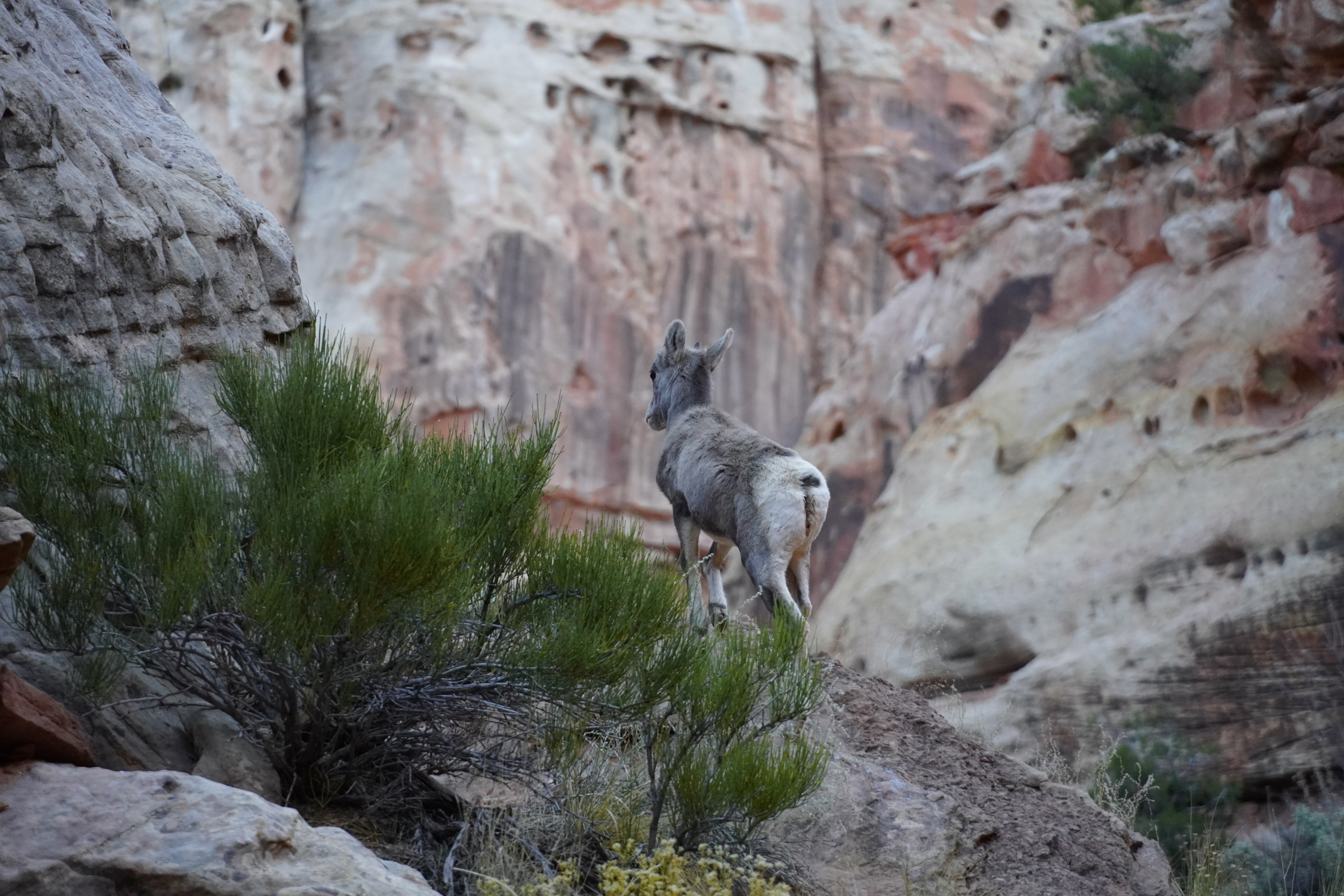 Utah Photo 25