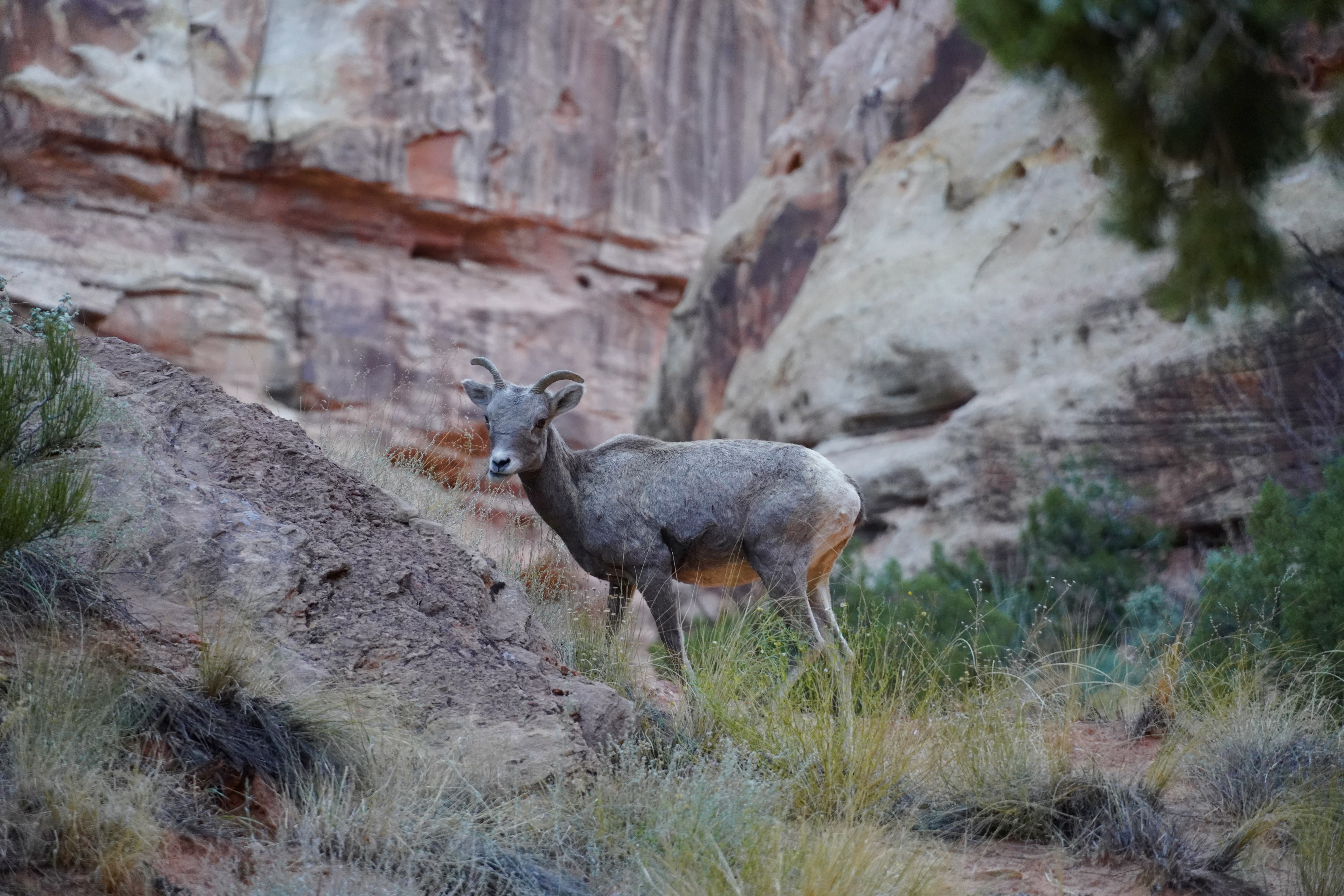 Utah Photo 6