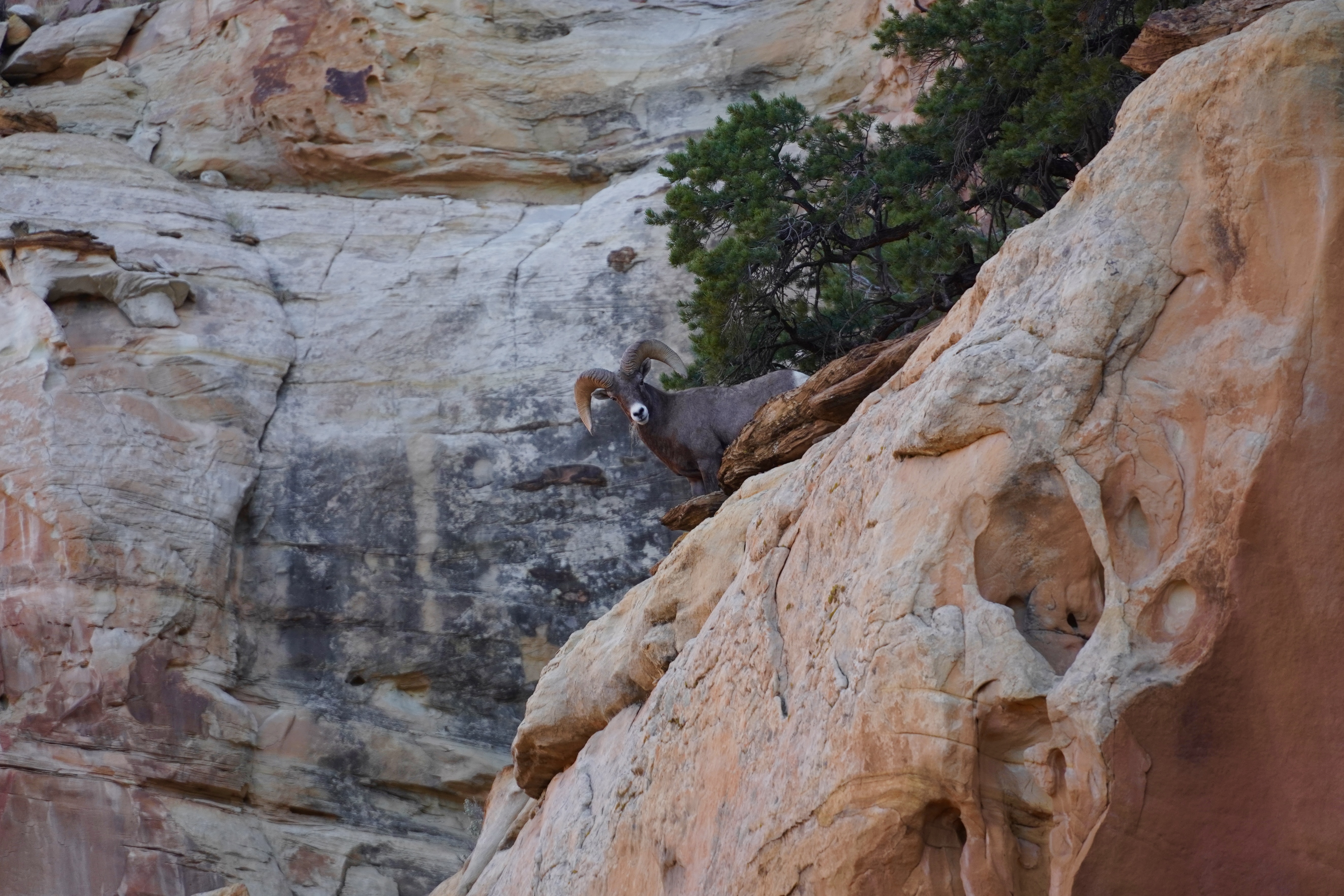 Utah Photo 16